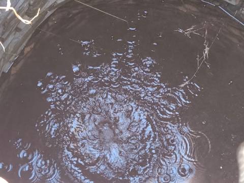 TERRENO RUSTICO COM 27.260 M2 - COM POÇO - COM POSSIBILIDADE DE CONSTRUÇÃO DE APOIO AGRICOLA - EM ODELEITE - CASTRO MARIM - ALGARVE