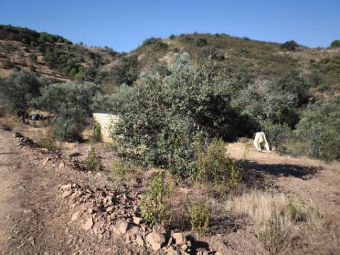 TERRENO RUSTICO COM 27.260 M2 - COM POÇO - COM POSSIBILIDADE DE CONSTRUÇÃO DE APOIO AGRICOLA - EM ODELEITE - CASTRO MARIM - ALGARVE