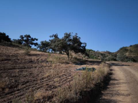 TERRENO RUSTICO COM 27.260 M2 - COM POÇO - COM POSSIBILIDADE DE CONSTRUÇÃO DE APOIO AGRICOLA - EM ODELEITE - CASTRO MARIM - ALGARVE