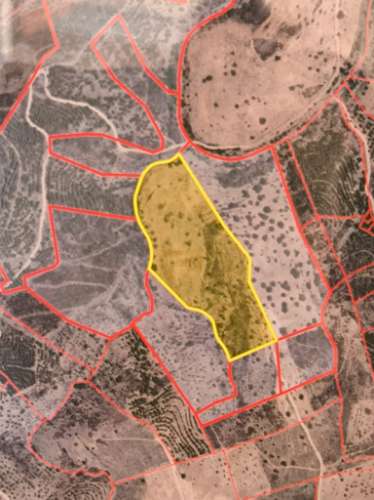 TERRENO RUSTICO COM 27.260 M2 - COM POÇO - COM POSSIBILIDADE DE CONSTRUÇÃO DE APOIO AGRICOLA - EM ODELEITE - CASTRO MARIM - ALGARVE