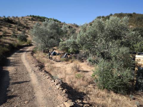 TERRENO RUSTICO COM 27.260 M2 - COM POÇO - COM POSSIBILIDADE DE CONSTRUÇÃO DE APOIO AGRICOLA - EM ODELEITE - CASTRO MARIM - ALGARVE
