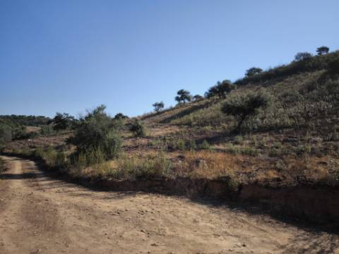 TERRENO RUSTICO COM 27.260 M2 - COM POÇO - COM POSSIBILIDADE DE CONSTRUÇÃO DE APOIO AGRICOLA - EM ODELEITE - CASTRO MARIM - ALGARVE