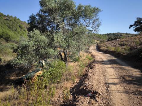 TERRENO RUSTICO COM 27.260 M2 - COM POÇO - COM POSSIBILIDADE DE CONSTRUÇÃO DE APOIO AGRICOLA - EM ODELEITE - CASTRO MARIM - ALGARVE