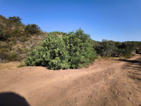 TERRENO RUSTICO COM 27.260 M2 - COM POÇO - COM POSSIBILIDADE DE CONSTRUÇÃO DE APOIO AGRICOLA - EM ODELEITE - CASTRO MARIM - ALGARVE