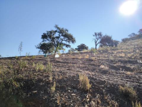TERRENO RUSTICO COM 27.260 M2 - COM POÇO - COM POSSIBILIDADE DE CONSTRUÇÃO DE APOIO AGRICOLA - EM ODELEITE - CASTRO MARIM - ALGARVE
