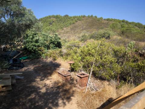 TERRENO RUSTICO COM 27.260 M2 - COM POÇO - COM POSSIBILIDADE DE CONSTRUÇÃO DE APOIO AGRICOLA - EM ODELEITE - CASTRO MARIM - ALGARVE