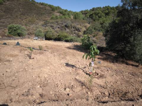 TERRENO RUSTICO COM 27.260 M2 - COM POÇO - COM POSSIBILIDADE DE CONSTRUÇÃO DE APOIO AGRICOLA - EM ODELEITE - CASTRO MARIM - ALGARVE
