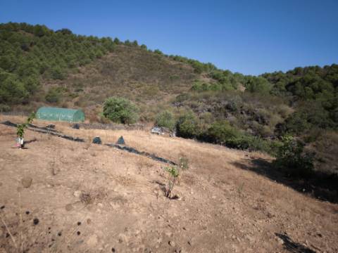 TERRENO RUSTICO COM 27.260 M2 - COM POÇO - COM POSSIBILIDADE DE CONSTRUÇÃO DE APOIO AGRICOLA - EM ODELEITE - CASTRO MARIM - ALGARVE