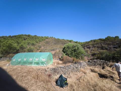 TERRENO RUSTICO COM 27.260 M2 - COM POÇO - COM POSSIBILIDADE DE CONSTRUÇÃO DE APOIO AGRICOLA - EM ODELEITE - CASTRO MARIM - ALGARVE