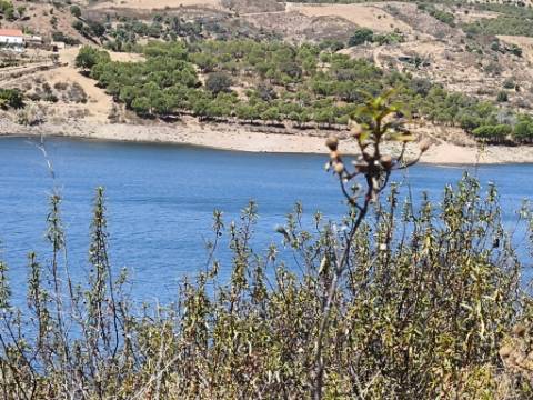 TERRENO COM 24.200 M2 - ACESSO A ÁGUA - VISTA BARRAGEM - POSSIBILIDADE DE CONSTRUIR UM APOIO AGRICOLA - VALE ANDREU - CASTRO MARIM - ALGARVE