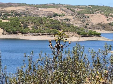 TERRENO COM 24.200 M2 - ACESSO A ÁGUA - VISTA BARRAGEM - POSSIBILIDADE DE CONSTRUIR UM APOIO AGRICOLA - VALE ANDREU - CASTRO MARIM - ALGARVE