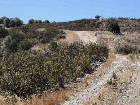 TERRENO COM 24.200 M2 - ACESSO A ÁGUA - VISTA BARRAGEM - POSSIBILIDADE DE CONSTRUIR UM APOIO AGRICOLA - VALE ANDREU - CASTRO MARIM - ALGARVE