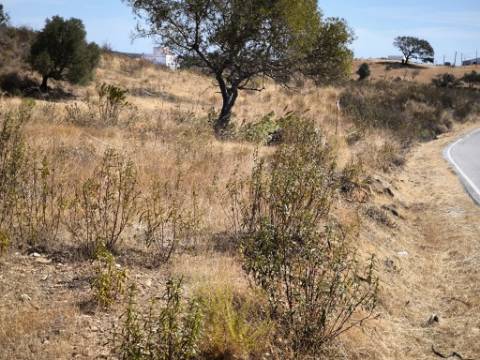 TERRENO COM 24.200 M2 - ACESSO A ÁGUA - VISTA BARRAGEM - POSSIBILIDADE DE CONSTRUIR UM APOIO AGRICOLA - VALE ANDREU - CASTRO MARIM - ALGARVE