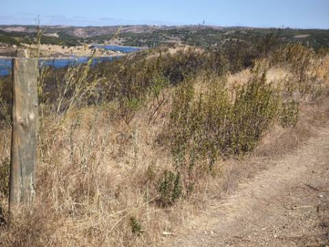 TERRENO COM 24.200 M2 - ACESSO A ÁGUA - VISTA BARRAGEM - POSSIBILIDADE DE CONSTRUIR UM APOIO AGRICOLA - VALE ANDREU - CASTRO MARIM - ALGARVE