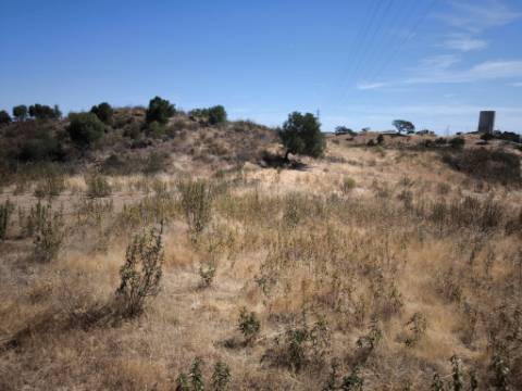 TERRENO COM 24.200 M2 - ACESSO A ÁGUA - VISTA BARRAGEM - POSSIBILIDADE DE CONSTRUIR UM APOIO AGRICOLA - VALE ANDREU - CASTRO MARIM - ALGARVE