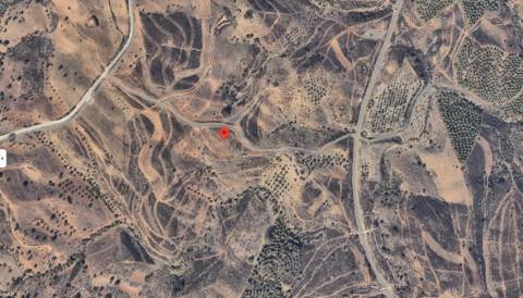 Terreno rústico com 1 hectare e Ruina em Castro Marim - Picarça