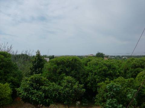 Terreno Urbano para a Construção de 3 moradias