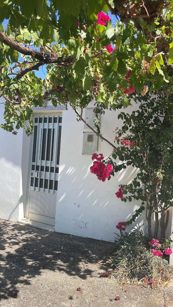 MORADIA COM QUINTAL E TERRAÇO PARA ALUGUEL ANUAL - MONTINHO DA VARZEA - ALCOUTIM - ALGARVE