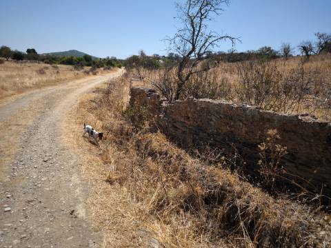 TERRENO COM 7640 M2 JUNTO A ENTRADA DA ALDEIA DE CORTES PEREIRA - ALCOUTIM - ALGARVE