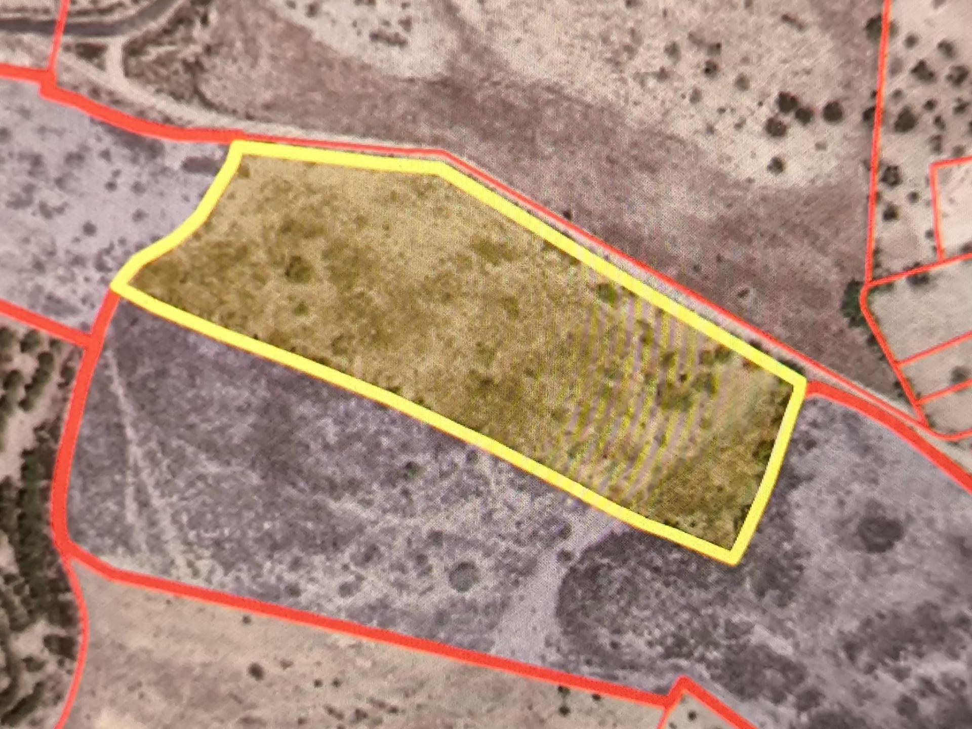 TERRENO COM 7640 M2 JUNTO A ENTRADA DA ALDEIA DE CORTES PEREIRA - ALCOUTIM - ALGARVE
