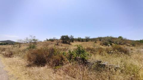 TERRENO COM 7640 M2 JUNTO A ENTRADA DA ALDEIA DE CORTES PEREIRA - ALCOUTIM - ALGARVE
