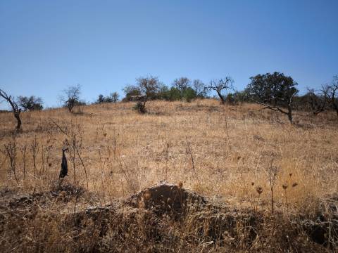 TERRENO COM 7640 M2 JUNTO A ENTRADA DA ALDEIA DE CORTES PEREIRA - ALCOUTIM - ALGARVE