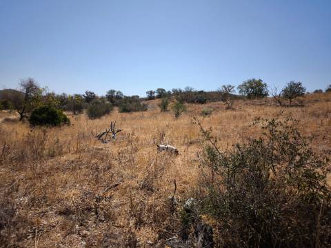 TERRENO COM 7640 M2 JUNTO A ENTRADA DA ALDEIA DE CORTES PEREIRA - ALCOUTIM - ALGARVE