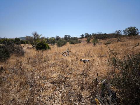 TERRENO COM 7640 M2 JUNTO A ENTRADA DA ALDEIA DE CORTES PEREIRA - ALCOUTIM - ALGARVE