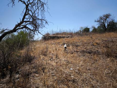 TERRENO COM 7640 M2 JUNTO A ENTRADA DA ALDEIA DE CORTES PEREIRA - ALCOUTIM - ALGARVE