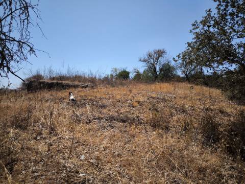 TERRENO COM 7640 M2 JUNTO A ENTRADA DA ALDEIA DE CORTES PEREIRA - ALCOUTIM - ALGARVE