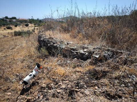 TERRENO COM 7640 M2 JUNTO A ENTRADA DA ALDEIA DE CORTES PEREIRA - ALCOUTIM - ALGARVE