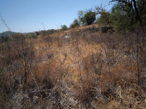 TERRENO COM 7640 M2 JUNTO A ENTRADA DA ALDEIA DE CORTES PEREIRA - ALCOUTIM - ALGARVE