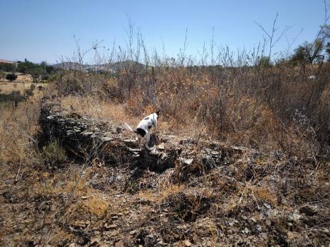 TERRENO COM 7640 M2 JUNTO A ENTRADA DA ALDEIA DE CORTES PEREIRA - ALCOUTIM - ALGARVE