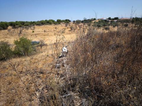 TERRENO COM 7640 M2 JUNTO A ENTRADA DA ALDEIA DE CORTES PEREIRA - ALCOUTIM - ALGARVE