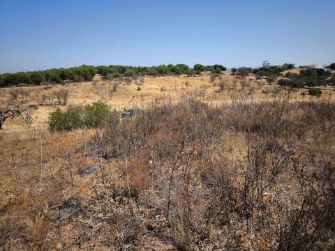 TERRENO COM 7640 M2 JUNTO A ENTRADA DA ALDEIA DE CORTES PEREIRA - ALCOUTIM - ALGARVE