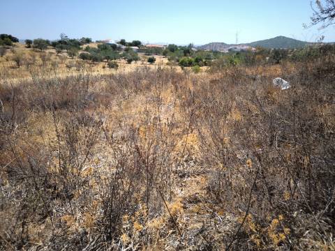 TERRENO COM 7640 M2 JUNTO A ENTRADA DA ALDEIA DE CORTES PEREIRA - ALCOUTIM - ALGARVE