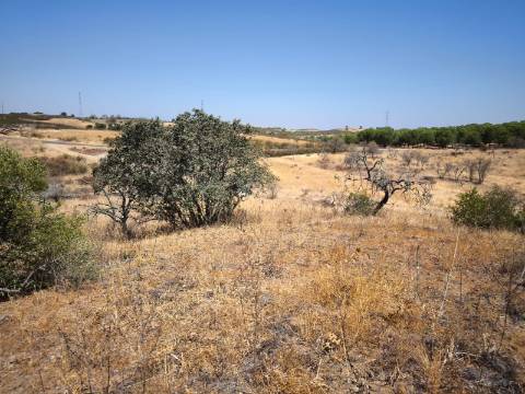 TERRENO COM 7640 M2 JUNTO A ENTRADA DA ALDEIA DE CORTES PEREIRA - ALCOUTIM - ALGARVE