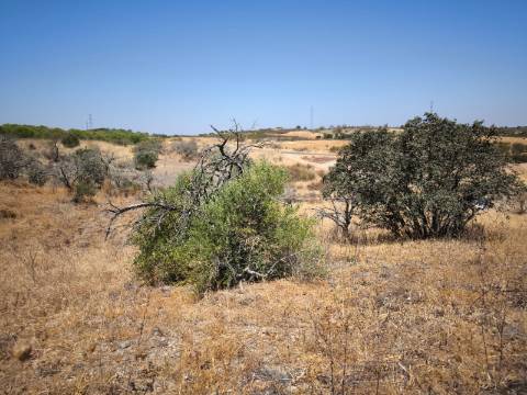 TERRENO COM 7640 M2 JUNTO A ENTRADA DA ALDEIA DE CORTES PEREIRA - ALCOUTIM - ALGARVE