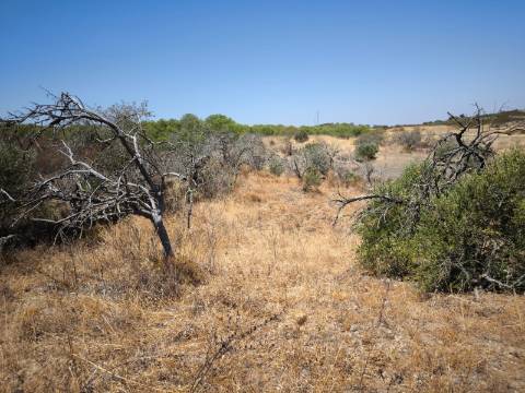 TERRENO COM 7640 M2 JUNTO A ENTRADA DA ALDEIA DE CORTES PEREIRA - ALCOUTIM - ALGARVE