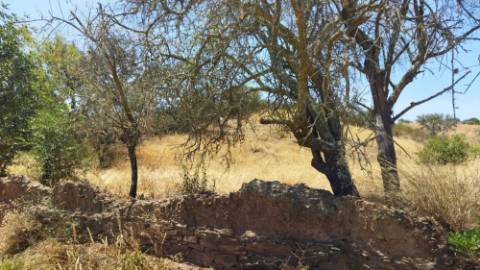 TERRENO COM 7640 M2 JUNTO A ENTRADA DA ALDEIA DE CORTES PEREIRA - ALCOUTIM - ALGARVE