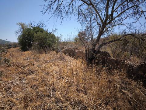 TERRENO COM 7640 M2 JUNTO A ENTRADA DA ALDEIA DE CORTES PEREIRA - ALCOUTIM - ALGARVE
