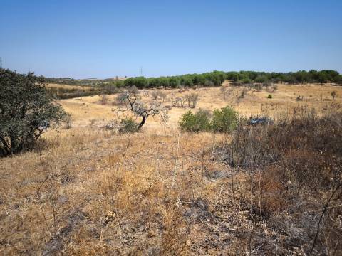 TERRENO COM 7640 M2 JUNTO A ENTRADA DA ALDEIA DE CORTES PEREIRA - ALCOUTIM - ALGARVE