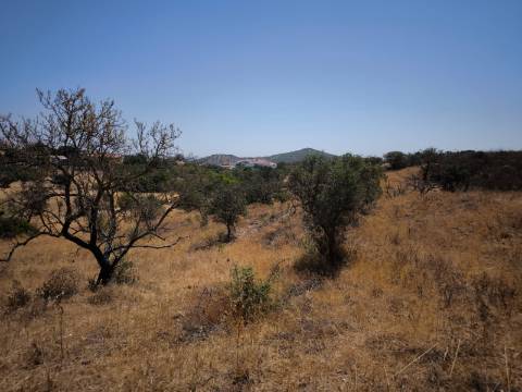 TERRENO COM 7640 M2 JUNTO A ENTRADA DA ALDEIA DE CORTES PEREIRA - ALCOUTIM - ALGARVE