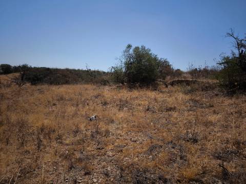 TERRENO COM 7640 M2 JUNTO A ENTRADA DA ALDEIA DE CORTES PEREIRA - ALCOUTIM - ALGARVE