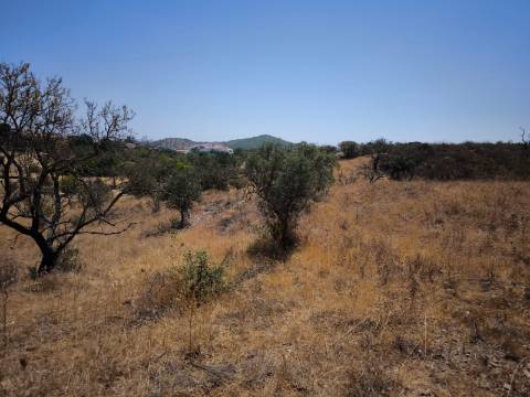 TERRENO COM 7640 M2 JUNTO A ENTRADA DA ALDEIA DE CORTES PEREIRA - ALCOUTIM - ALGARVE