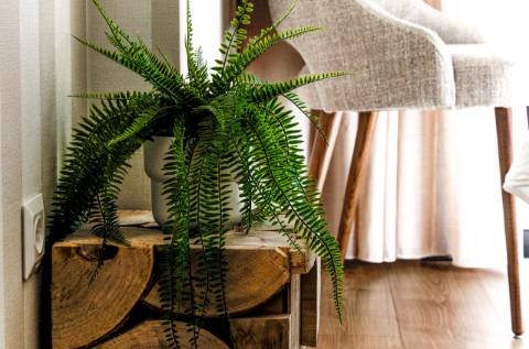 Apartamento de Luxo no Edifício Várzea Exclusividade à Beira do Guadiana