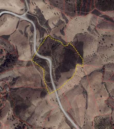 Terreno Rústico com 48.160 m² Natureza, Tranquilidade e Potencial perto da Barragem do Beliche