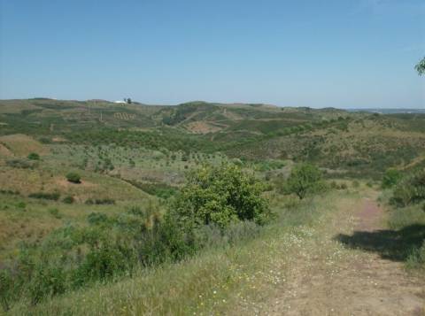 Terreno Misto com 99.760m2