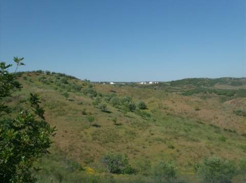 Terreno Misto com 99.760m2