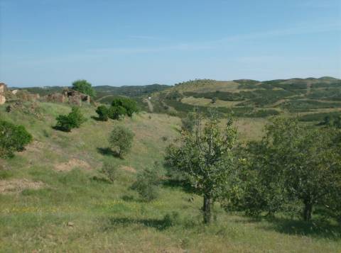 Terreno Misto com 99.760m2